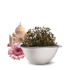 Good Morning Sunshine