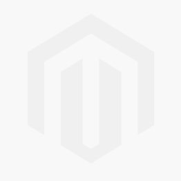 Logo UPS