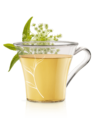 INFUSIE