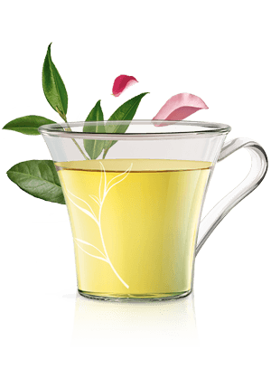 GROENE THEE